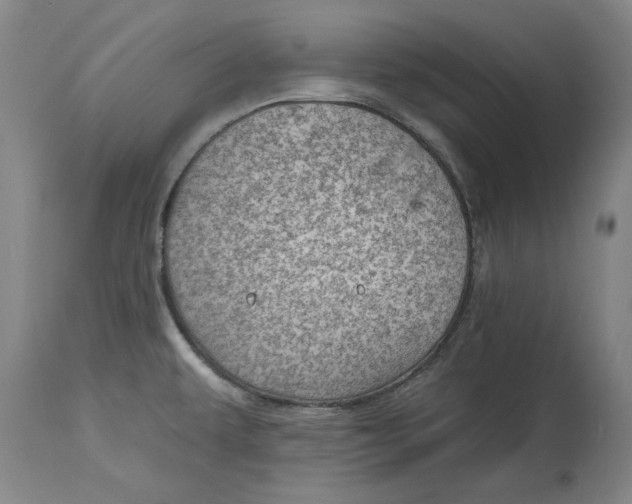 X0000114691479200911121507