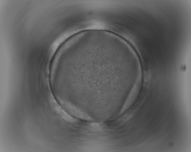 X0000114691480200911121507