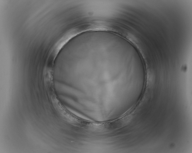 X0000114691481200911121507