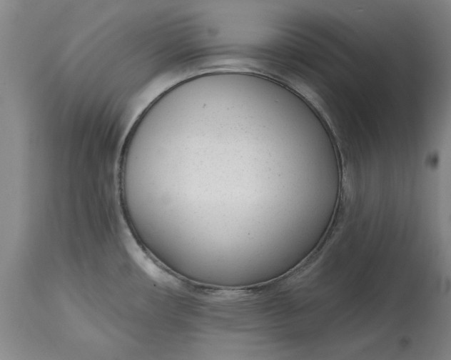 X0000114691482200911121507