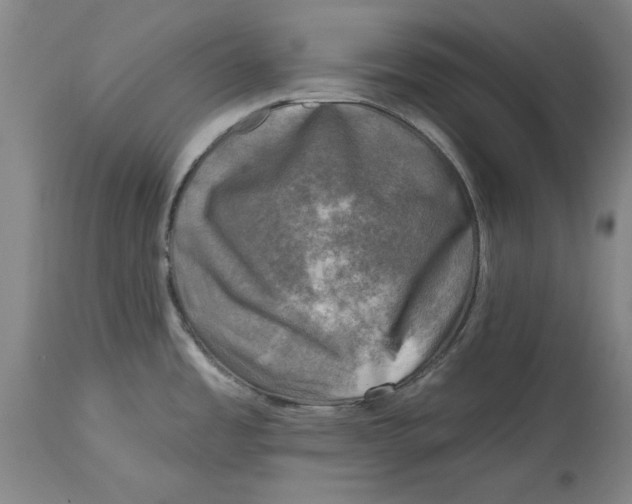 X0000114691485200911121507