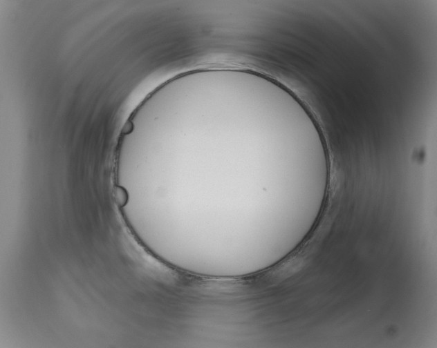 X0000114691486200911121507