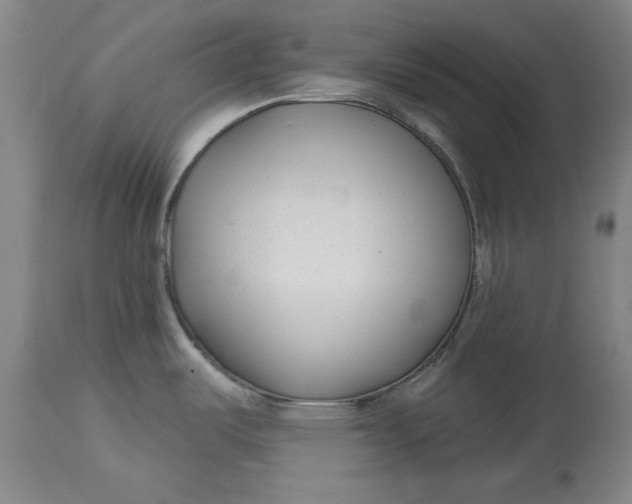 X0000114691487200911121507