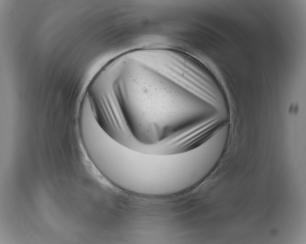 X0000114691488200911121507