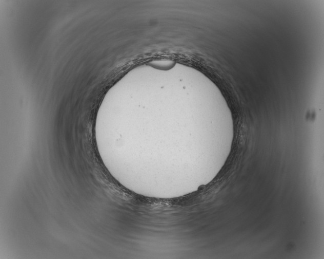 X0000114691489200911121506