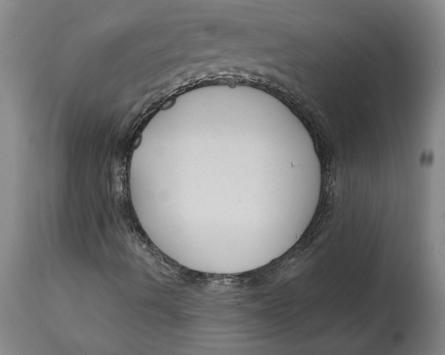 X0000114691490200911121506