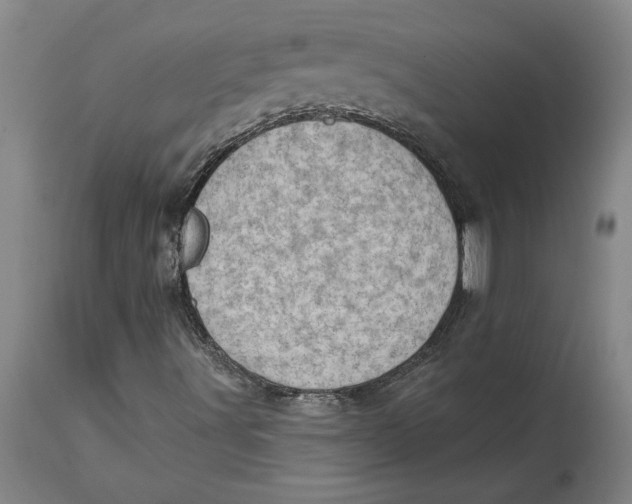 X0000114691491200911121506