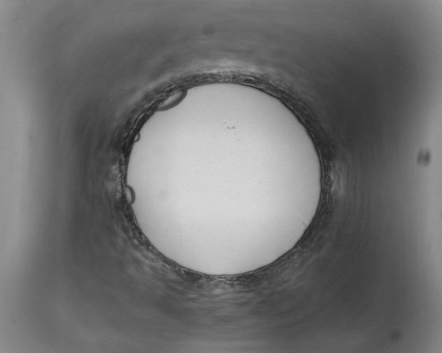 X0000114691493200911121506