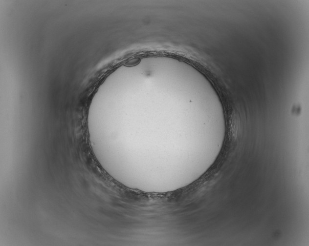 X0000114691494200911121506