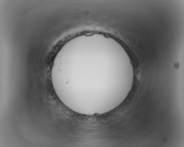 X0000114691495200911121507