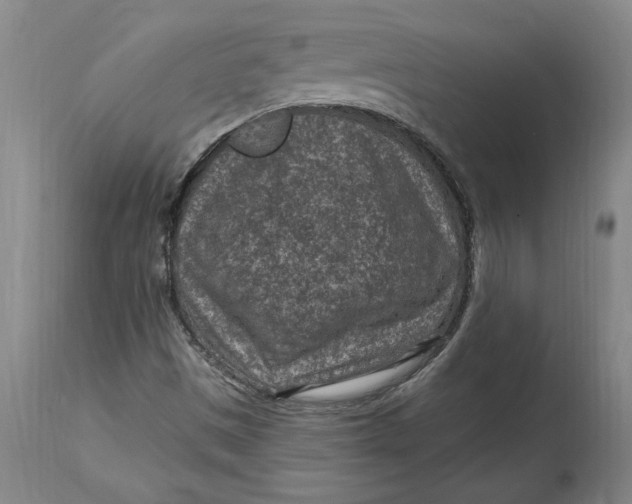 X0000114691497200911121507