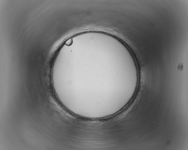 X0000114691502200911121507