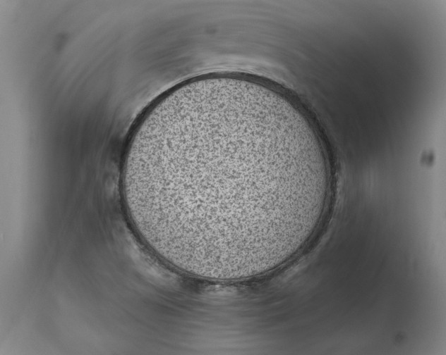 X0000114691505200911121507