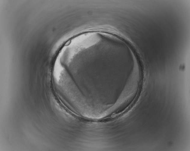 X0000114691506200911121507