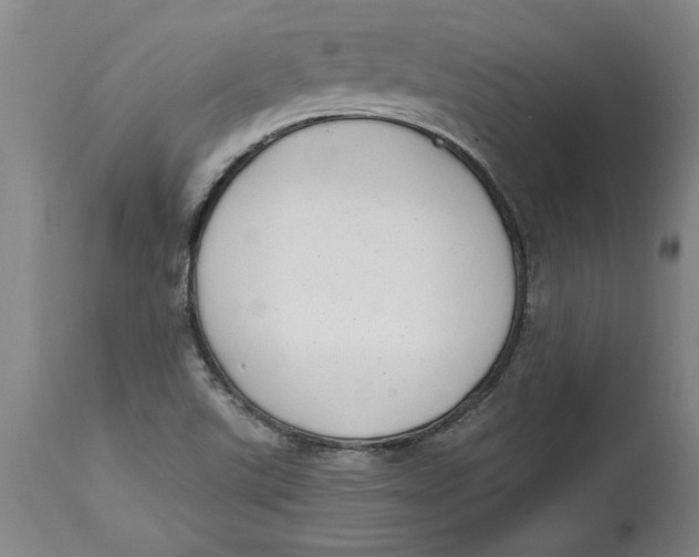 X0000114691507200911121507