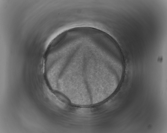 X0000114691510200911121507