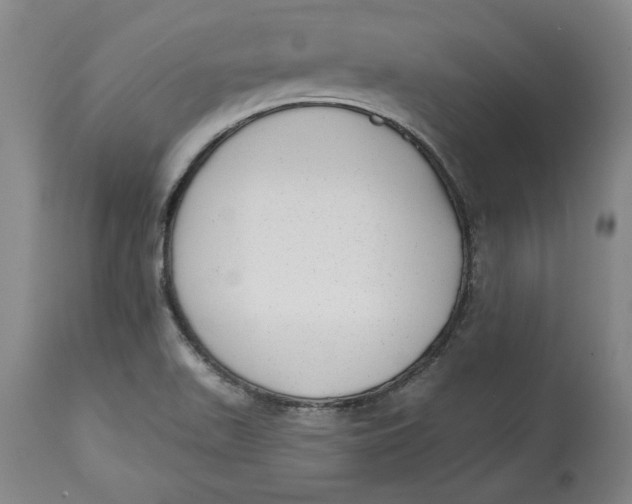 X0000114691511200911121507