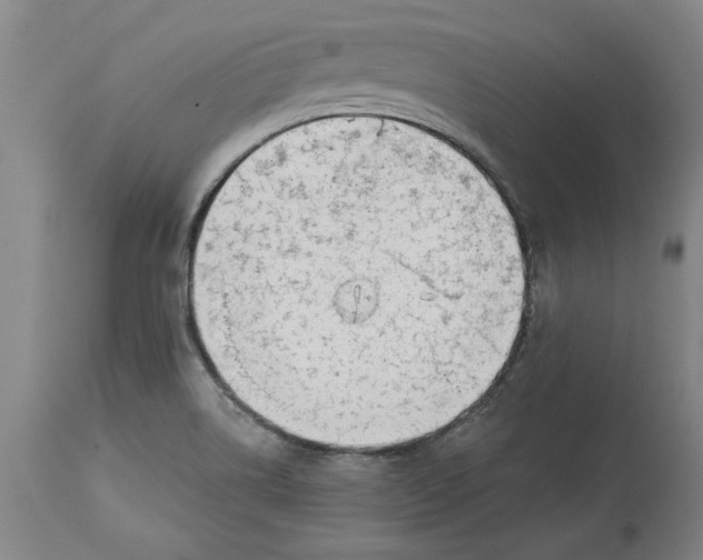 X0000114691514200911121507