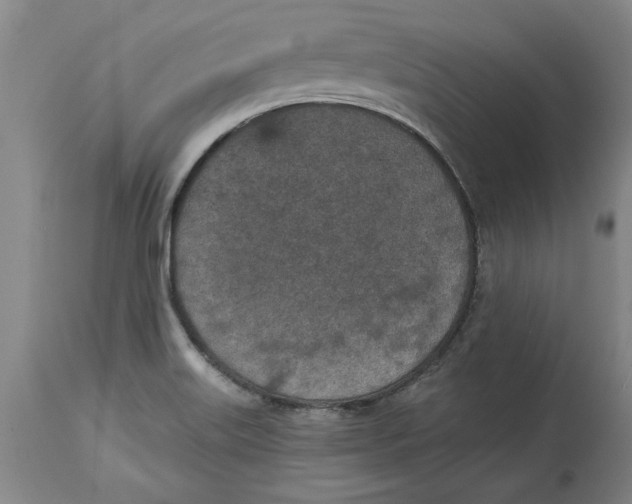 X0000114691515200911121507