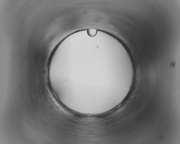 X0000114691517200911121507