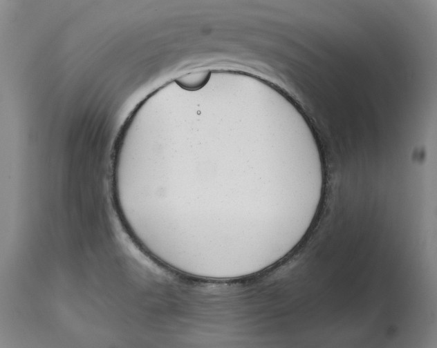 X0000114691518200911121507