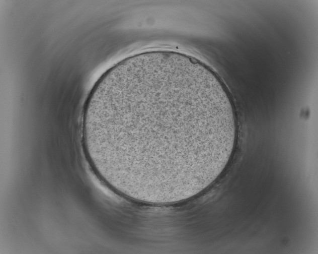 X0000114691519200911121507