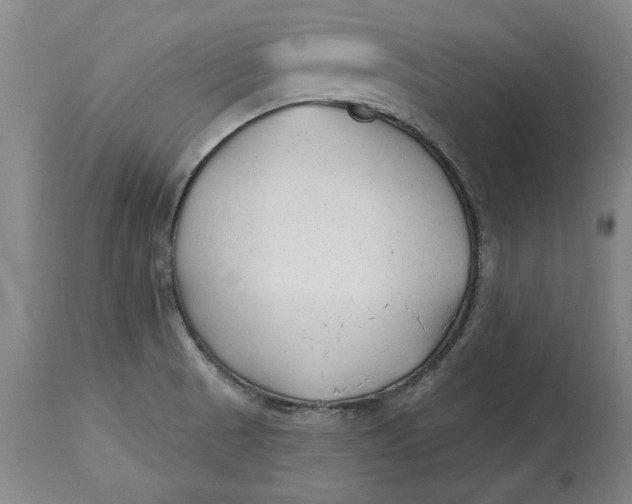 X0000114691521200911121507