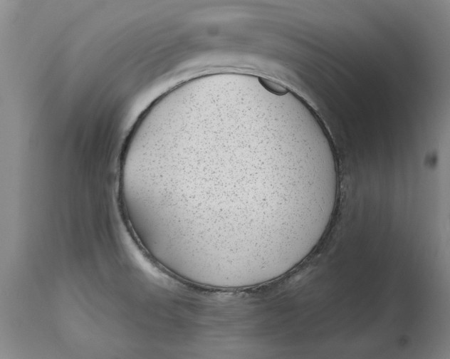 X0000114691523200911121507