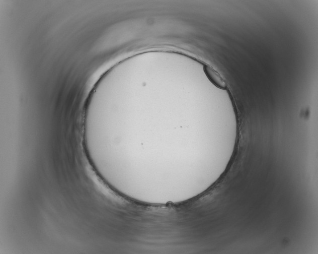 X0000114691526200911121507