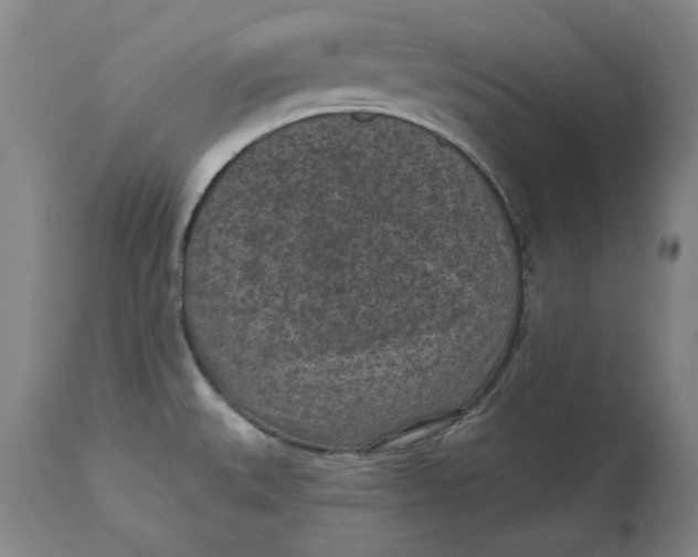 X0000114691527200911121507