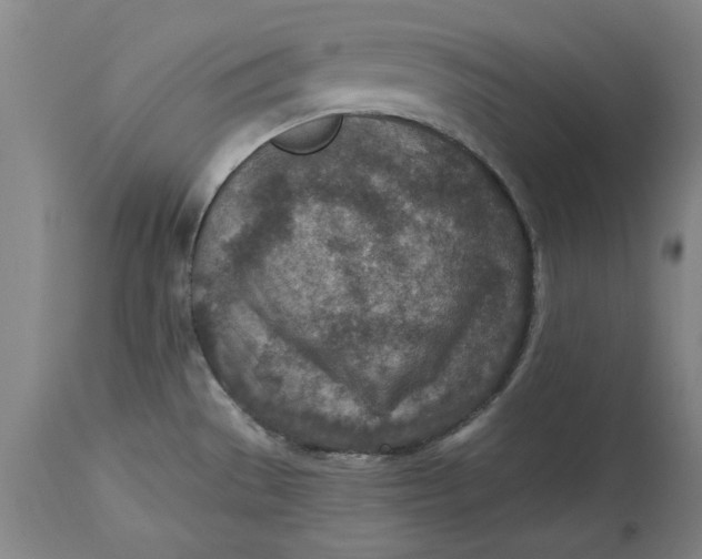 X0000114691529200911121507