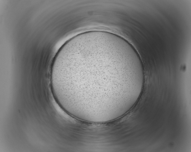 X0000114691531200911121507