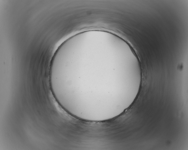 X0000114691534200911121507