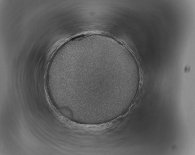 X0000114690001200911181304