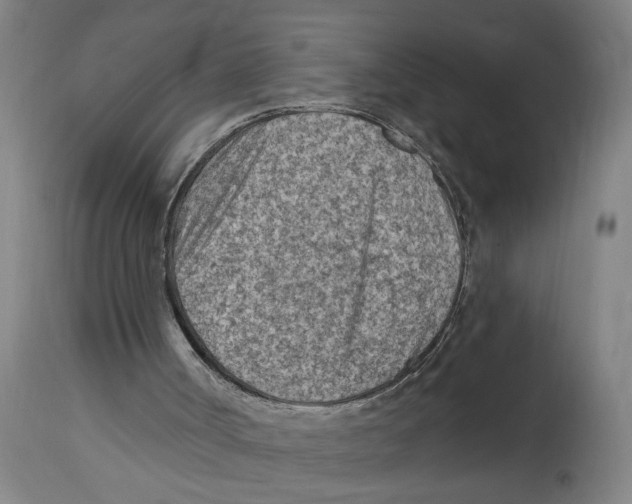 X0000114690002200911181304