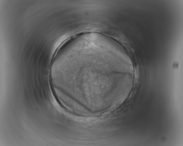 X0000114690003200911181304