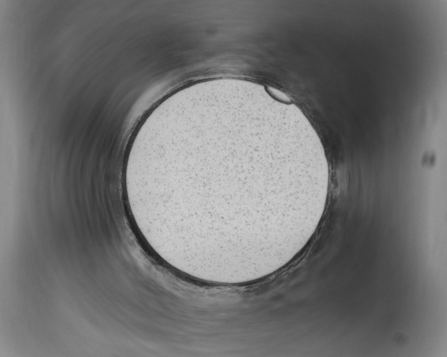 X0000114690004200911181304