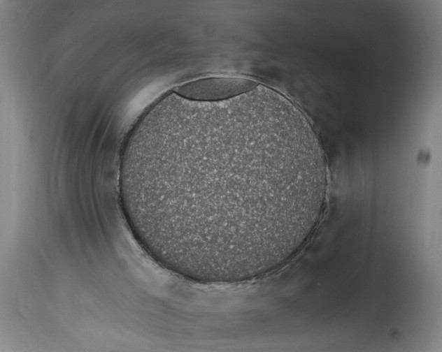 X0000114690005200911181304