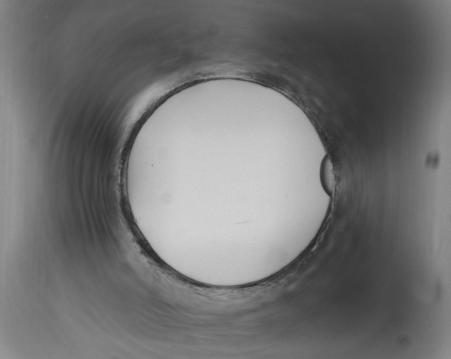 X0000114690006200911181304