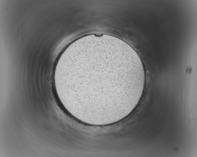 X0000114690007200911181304
