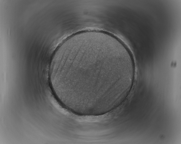 X0000114690009200911181304