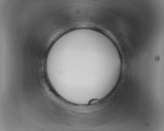 X0000114690010200911181304