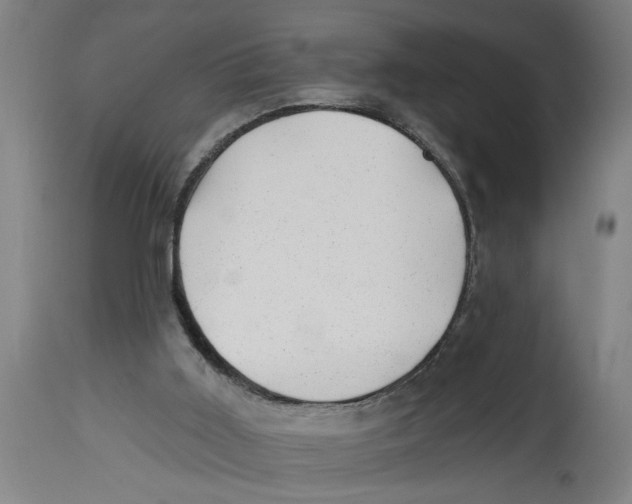 X0000114690011200911181304
