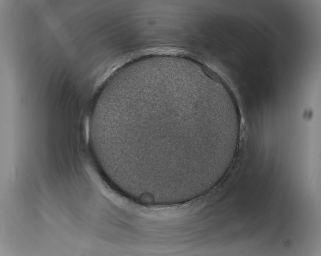X0000114690013200911181304