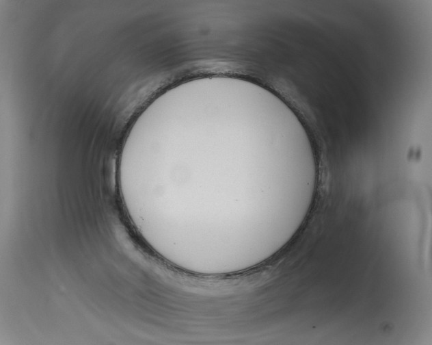 X0000114690014200911181304