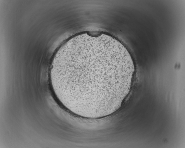 X0000114690015200911181304