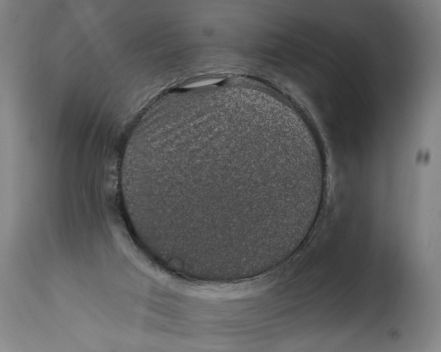 X0000114690017200911181304