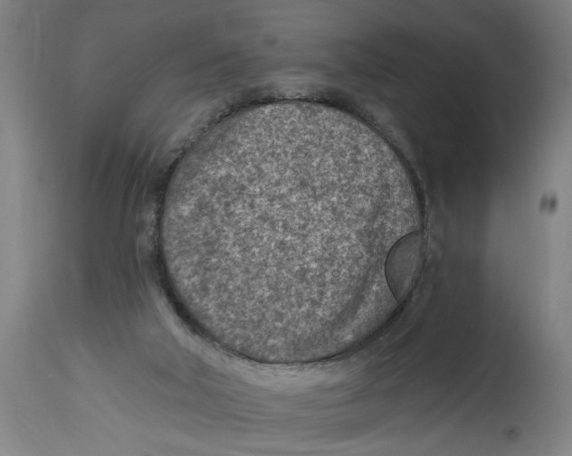 X0000114690018200911181304