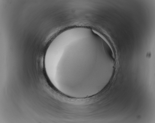 X0000114690019200911181304