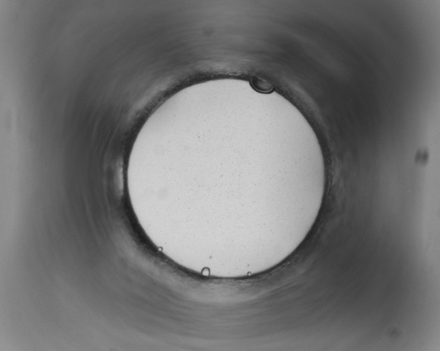 X0000114690020200911181304